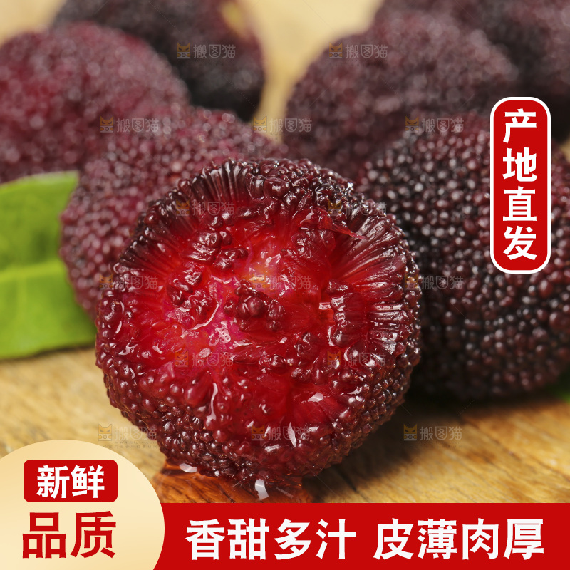 木底上的仙居杨梅