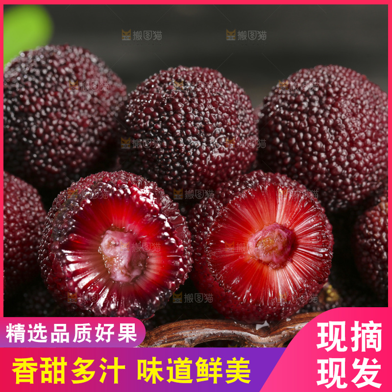 木底上的仙居杨梅
