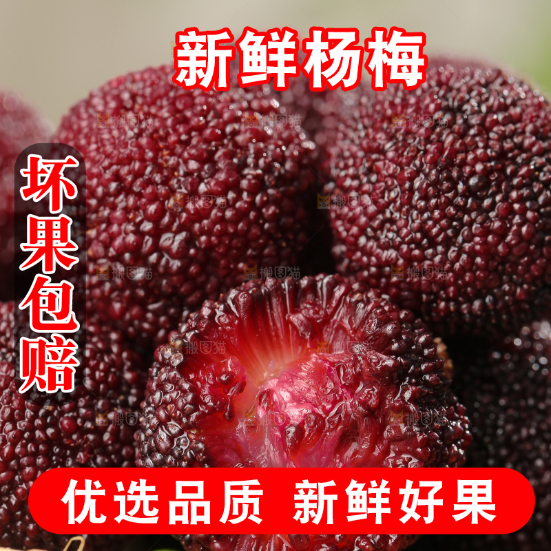 深底上的杨梅鲜果