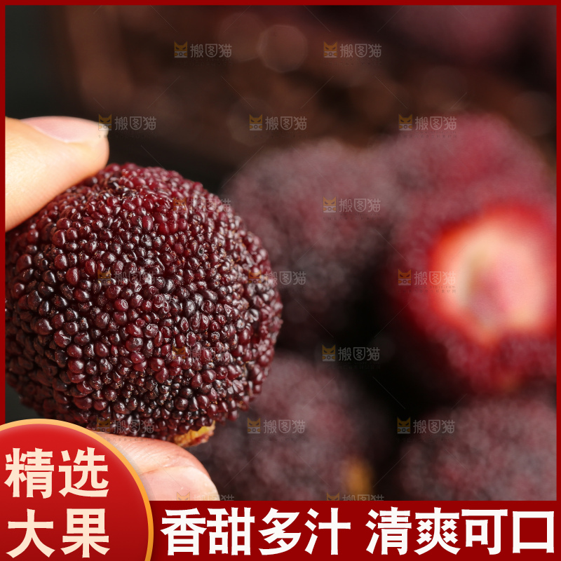 木底上的仙居杨梅