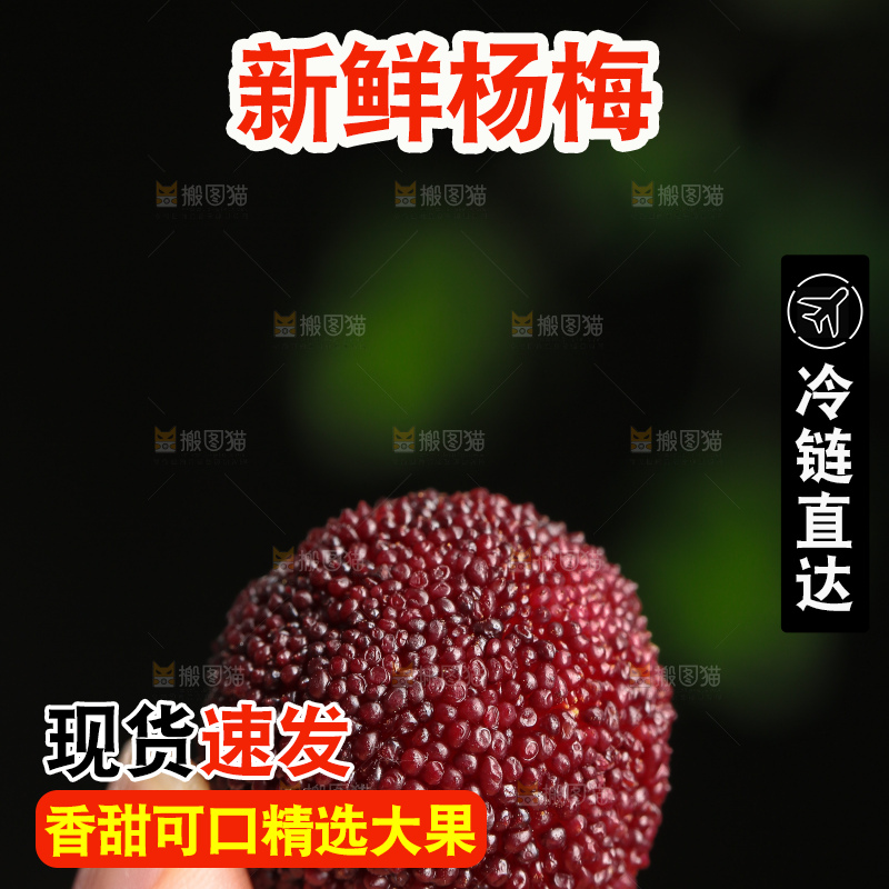木底上的仙居杨梅