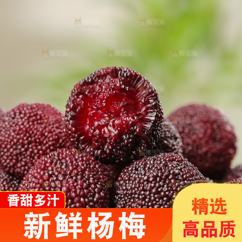 深底上的杨梅鲜果