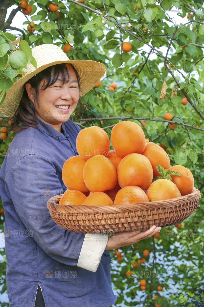手里拿着大黄杏
