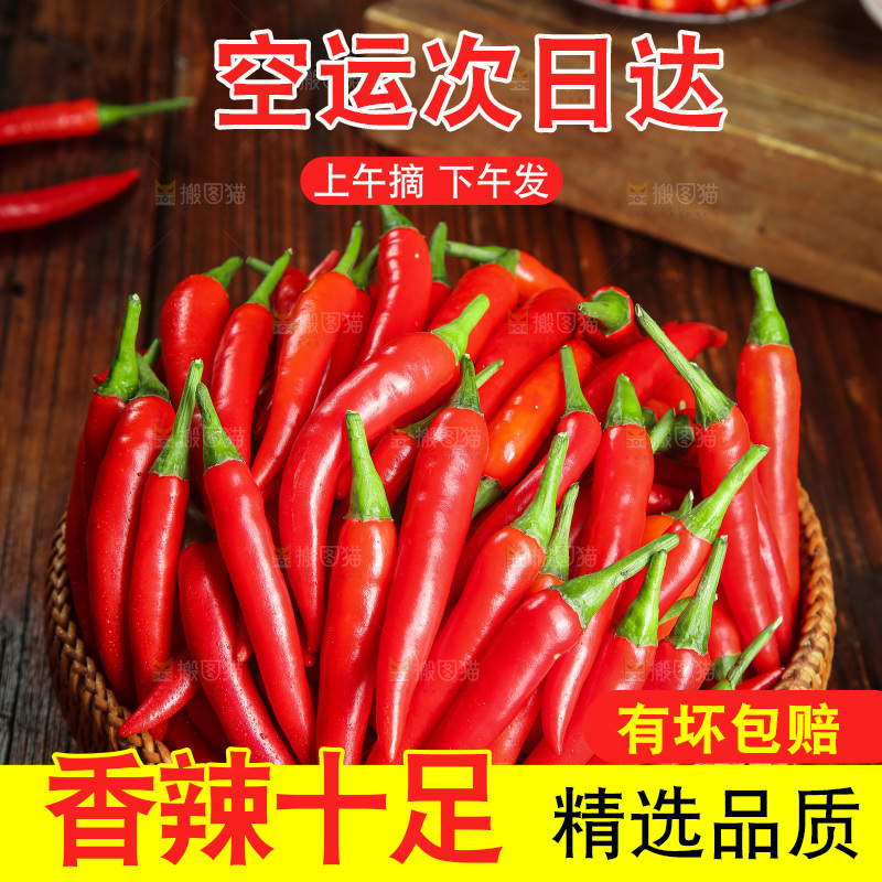 木底上的小米椒