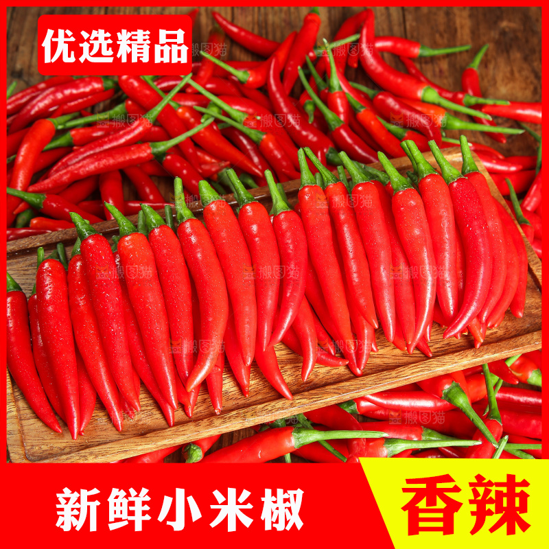 木底上的小米椒