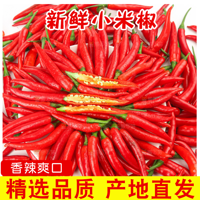 白底上的小米辣