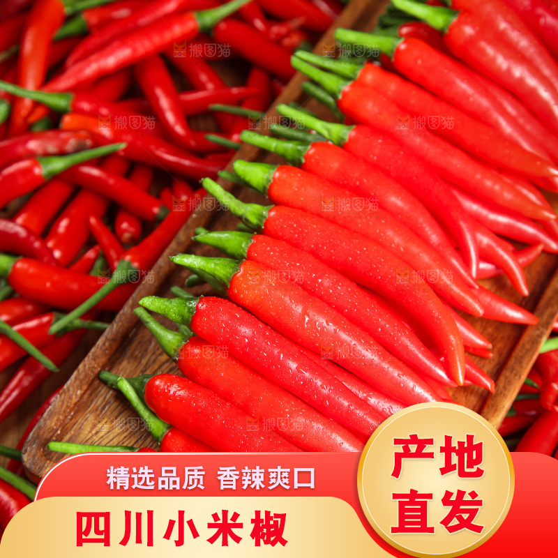 木底上的小米椒