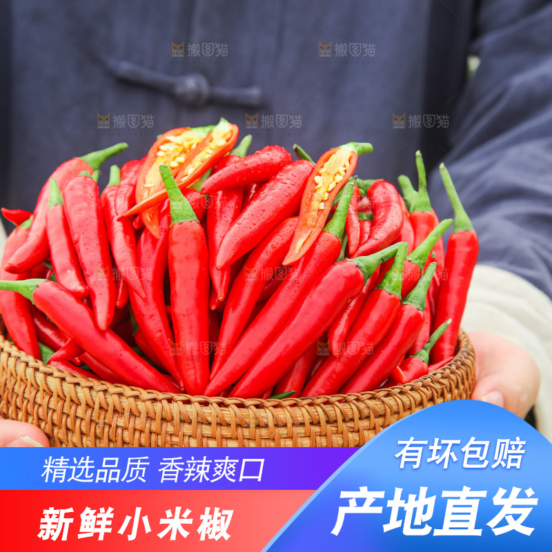 手里拿着小米辣