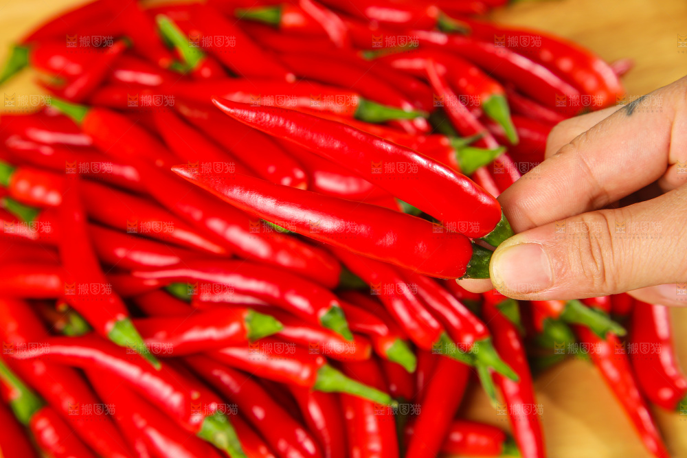 深底上的农家小米椒