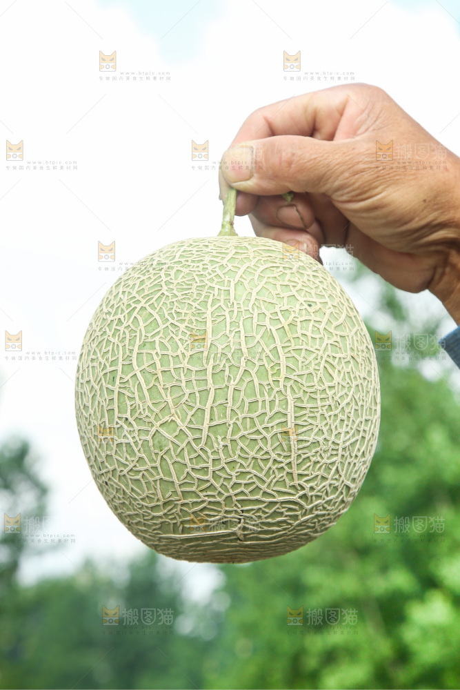 手里拿着玫珑蜜瓜