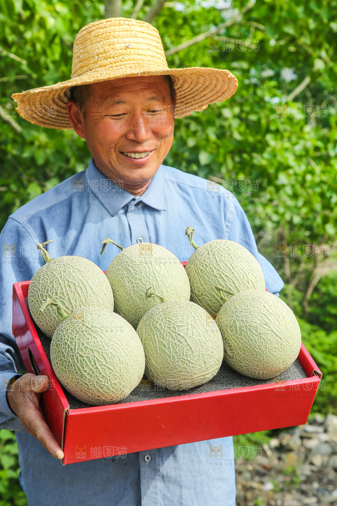 手里拿着玫珑网纹瓜