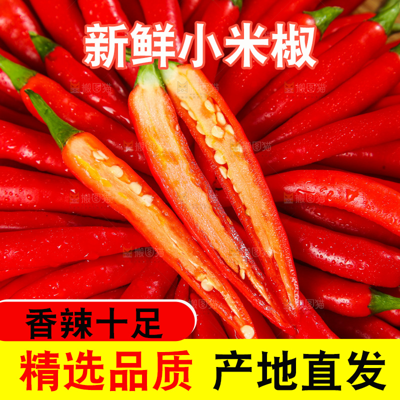 深底上的农家小米辣