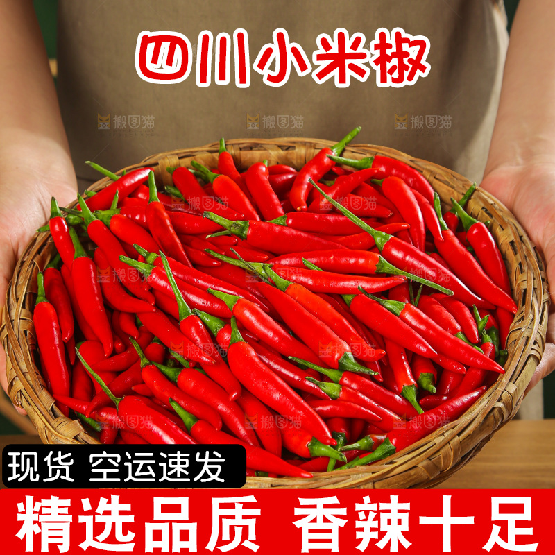 深底上的农家小米椒