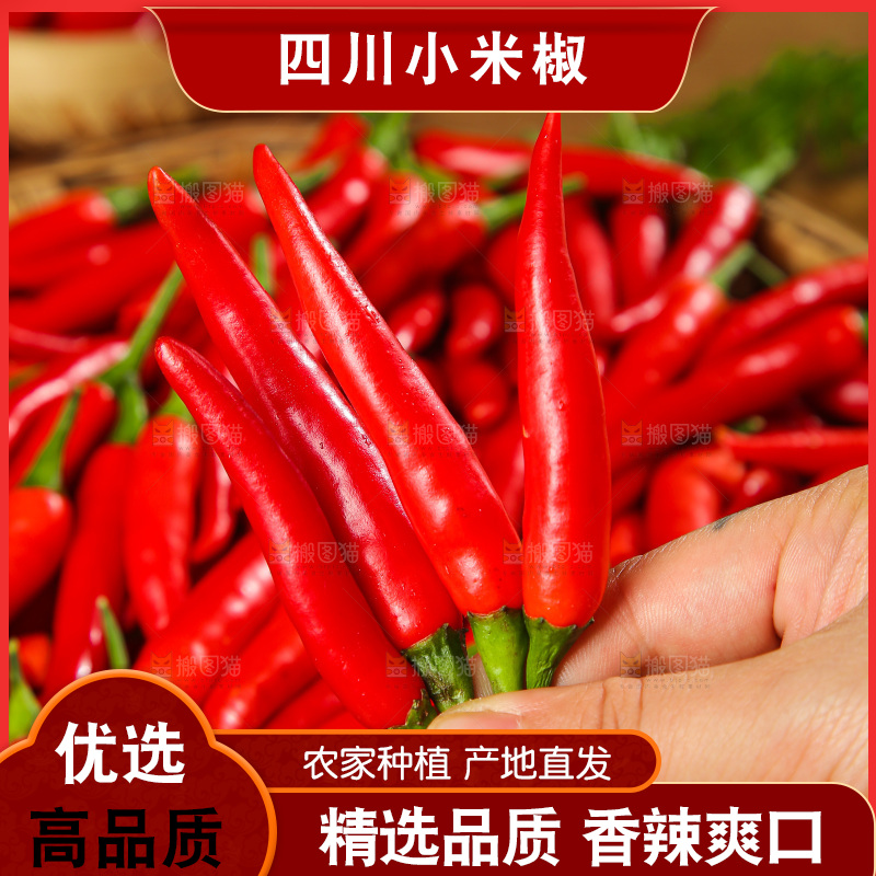 深底上的农家小米椒