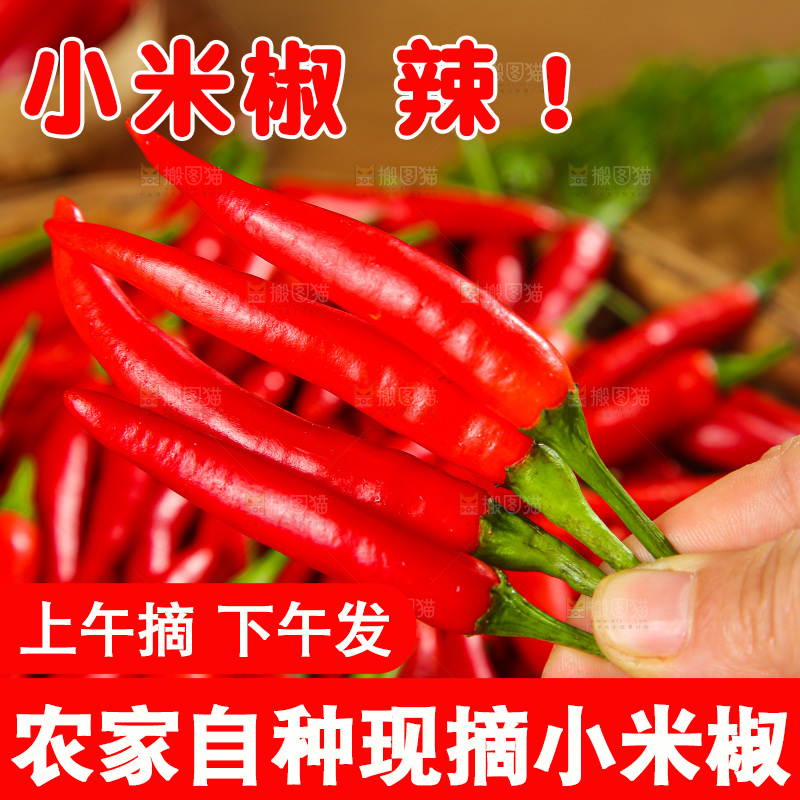 深底上的农家小米椒