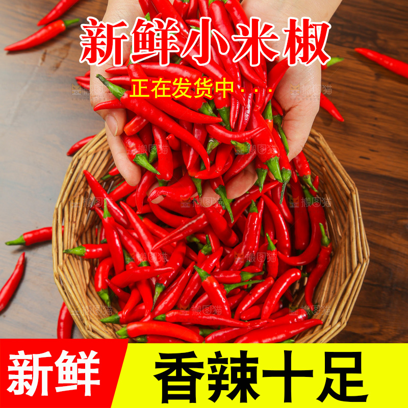木底上的小米椒
