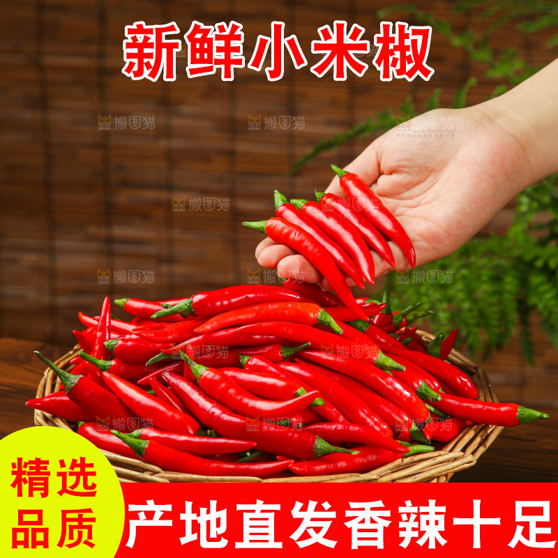 深底上的农家小米椒