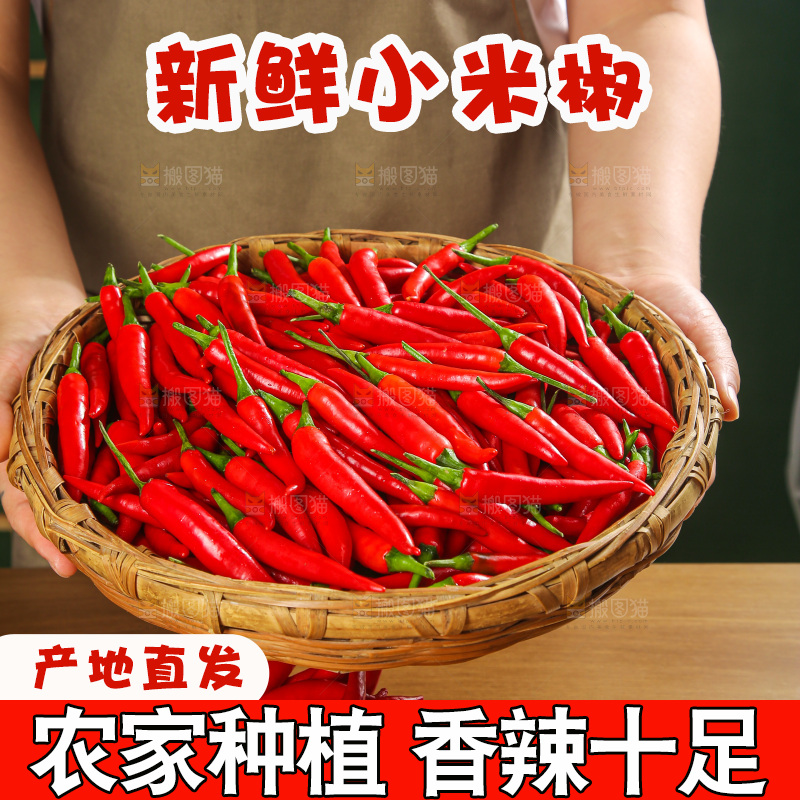 深底上的农家小米椒