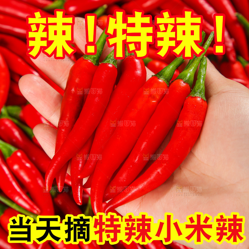 深底上的农家小米椒