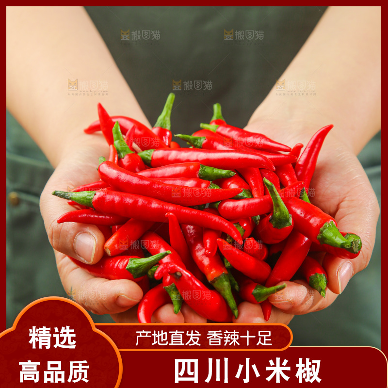 木底上的小米椒