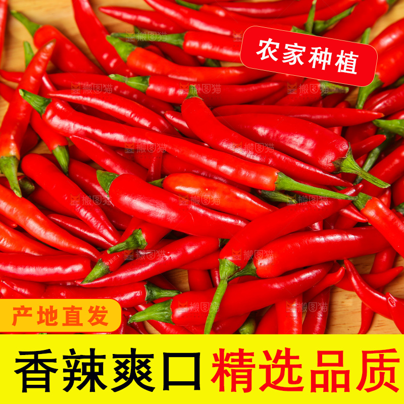 深底上的农家小米辣