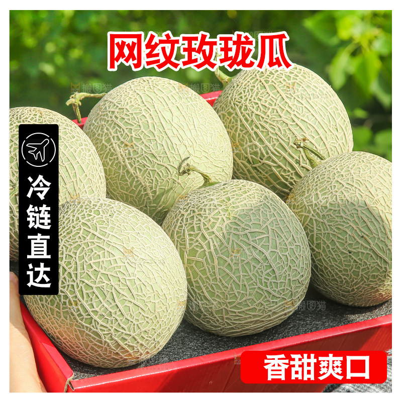 手里拿着玫珑网纹瓜