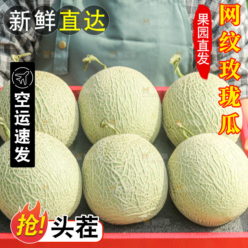 手里拿着玫珑网纹瓜