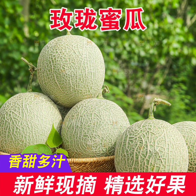 桌子上放着玫珑网纹瓜