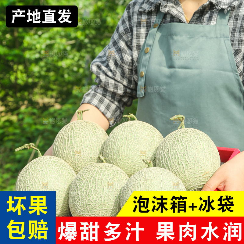 手里拿着玫珑网纹瓜