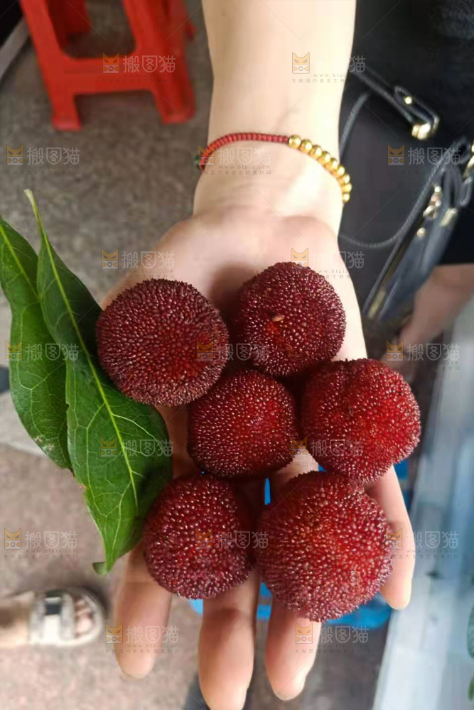 手上放着新鲜杨梅