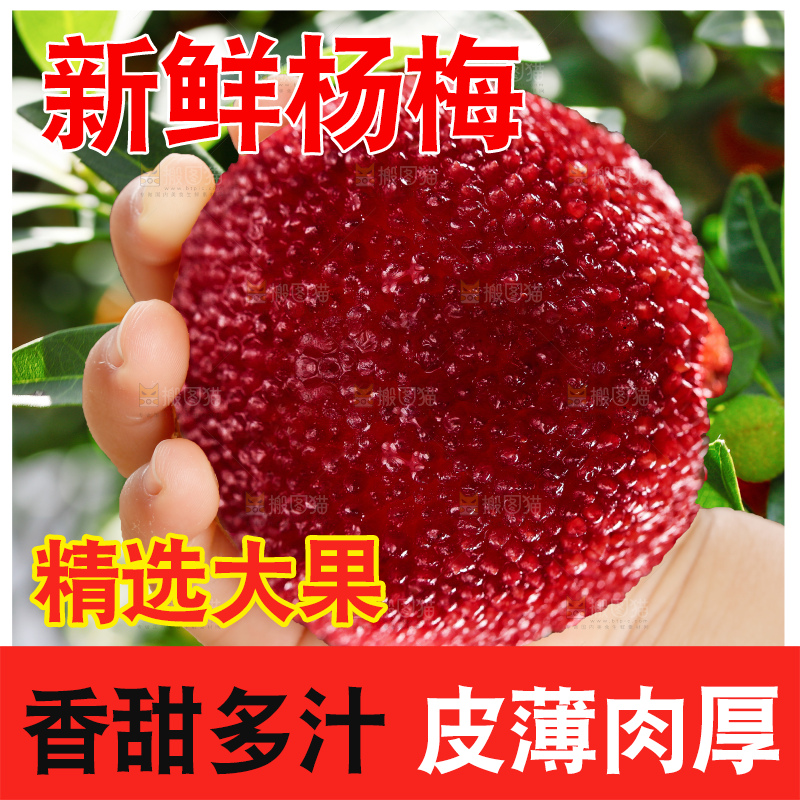 手里拿着新鲜杨梅