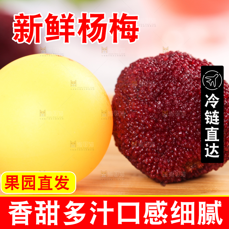 浅底上的新鲜大杨梅