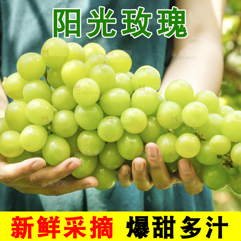 手里拿着阳光玫瑰