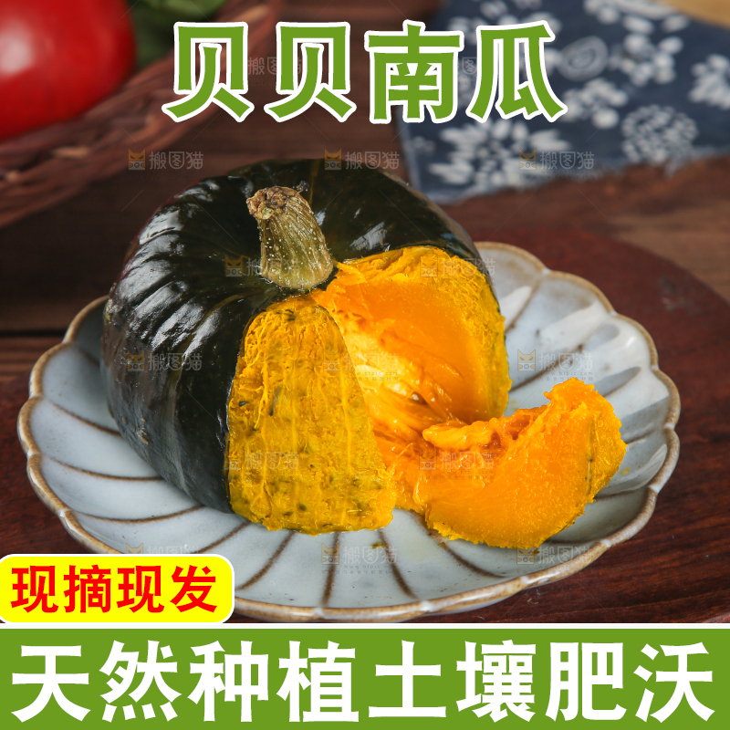 贝贝南瓜