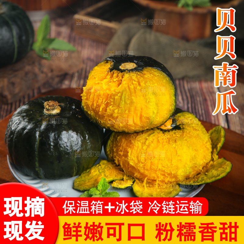 贝贝南瓜