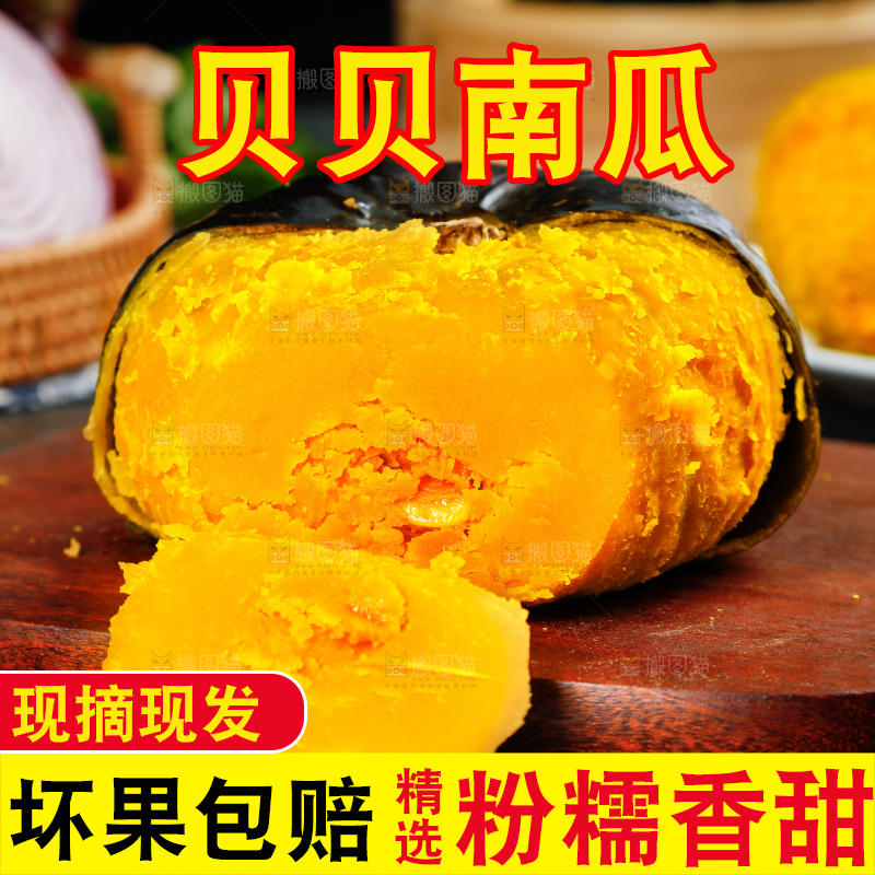 贝贝南瓜