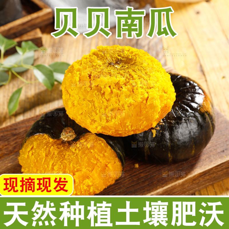 贝贝南瓜