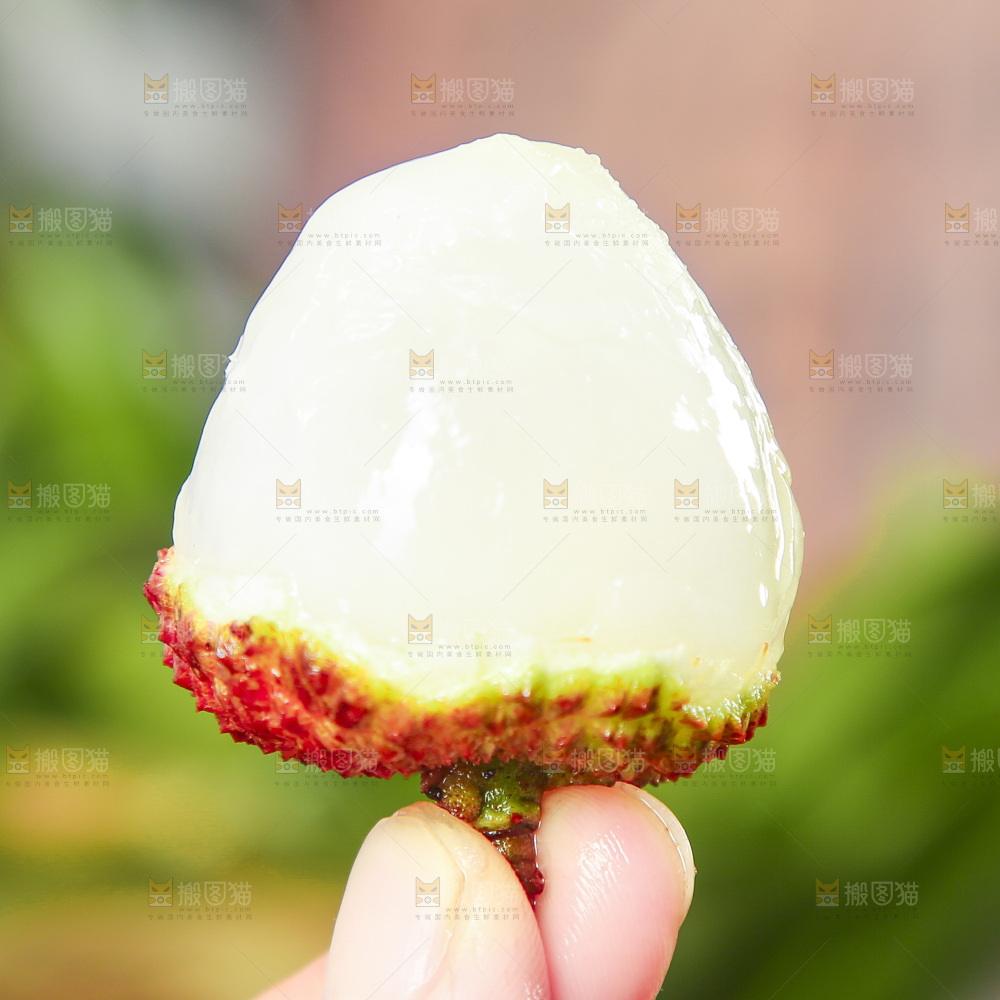 浅底上的妃子笑荔枝