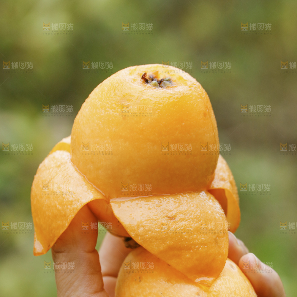 手里拿着五星枇杷