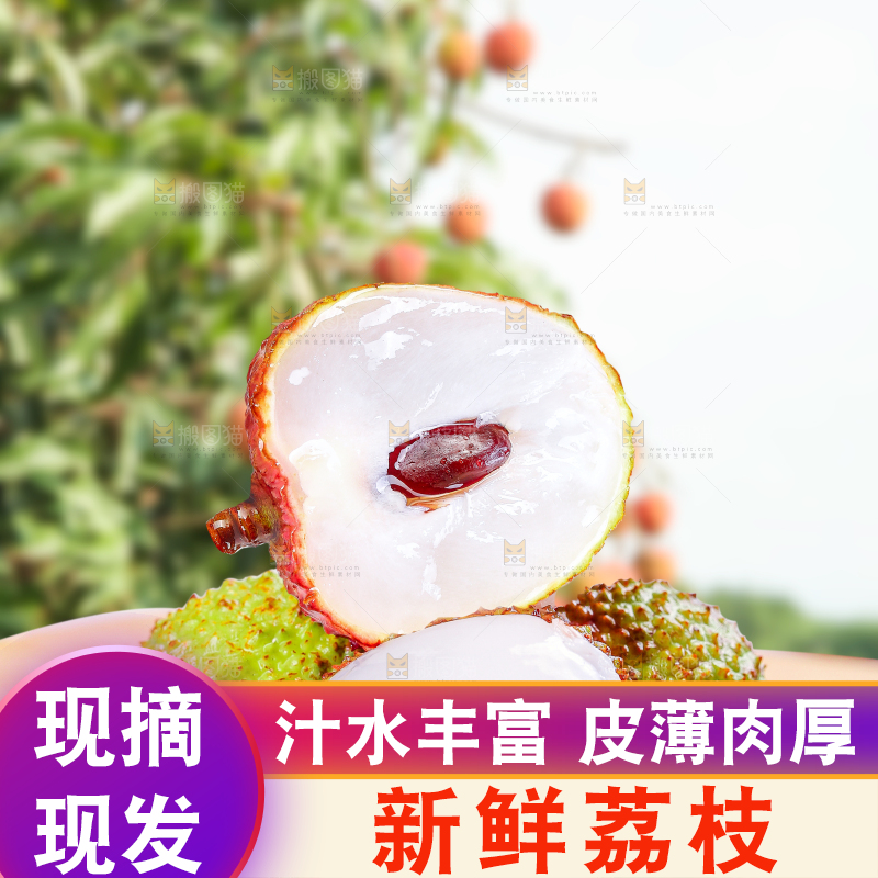 木底上的妃子笑