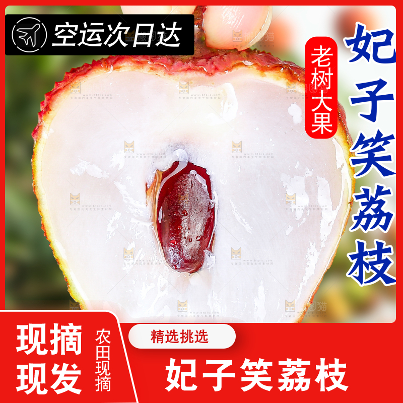 妃子笑荔枝主图