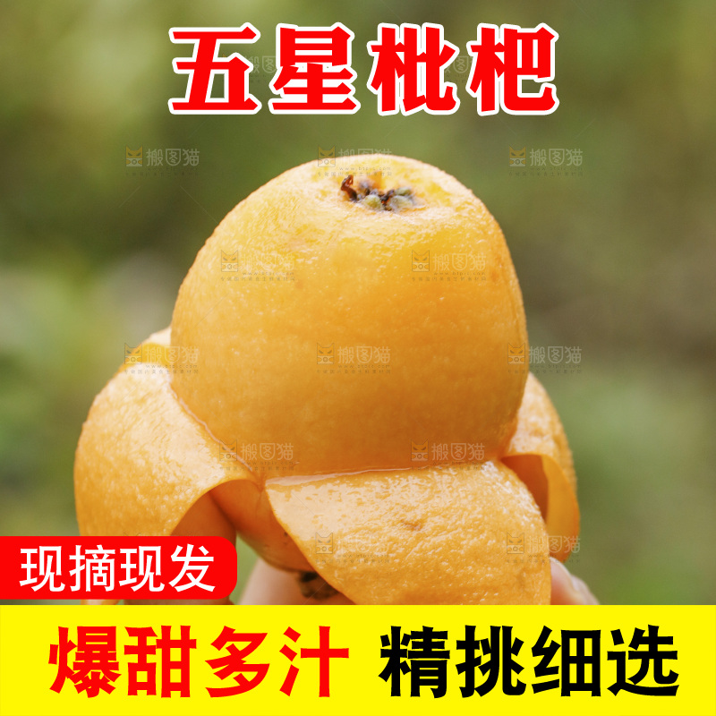 手里拿着五星枇杷