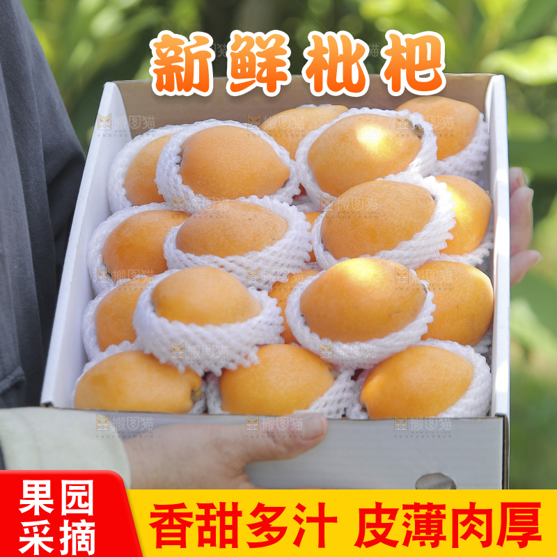 堆放着的新鲜枇杷