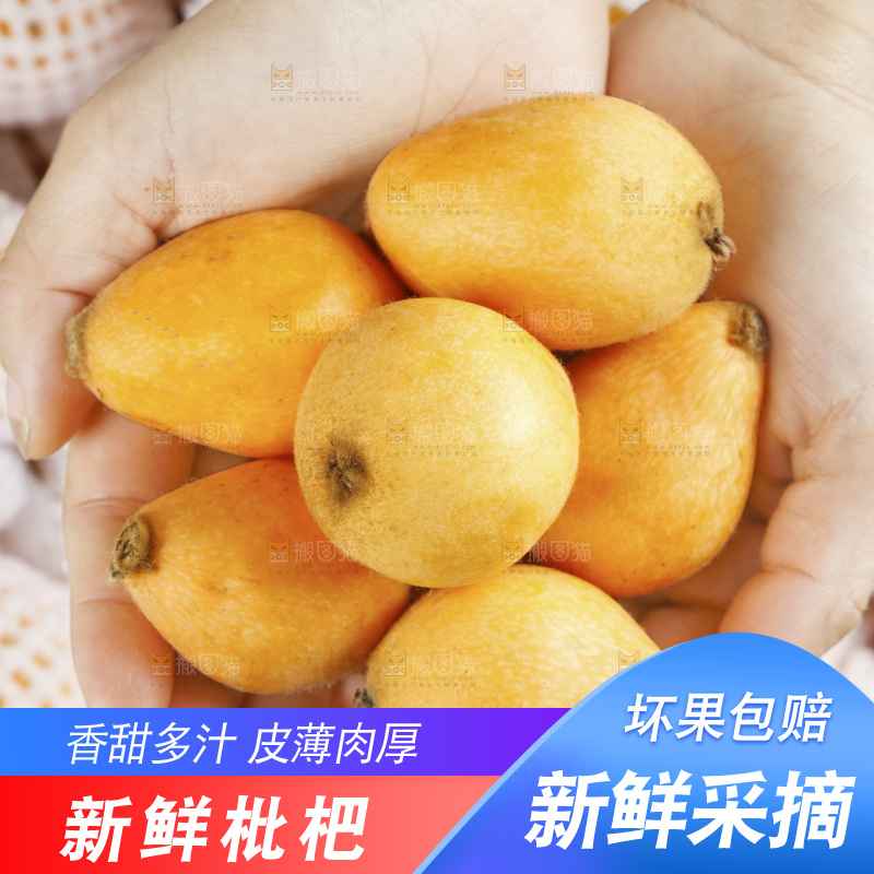 堆放着的新鲜枇杷