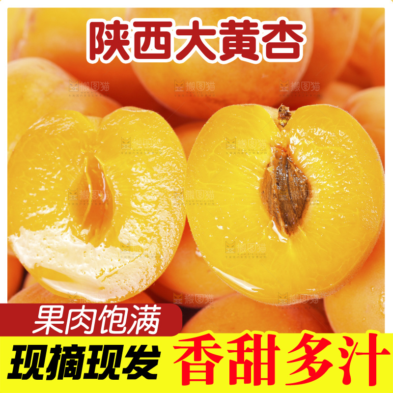 堆放着的大黄杏