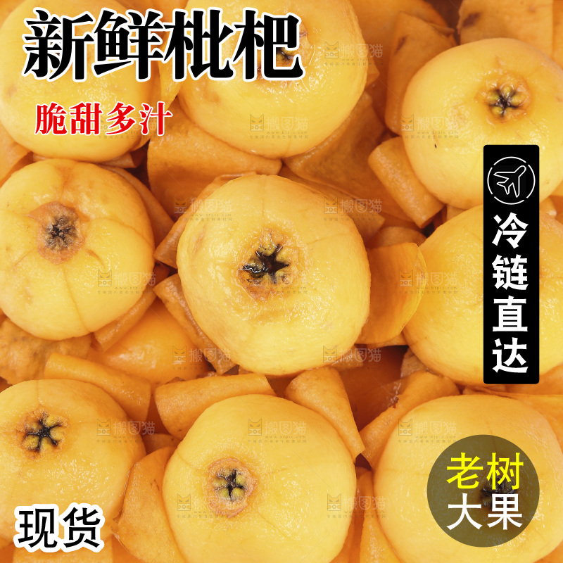 枇杷主图