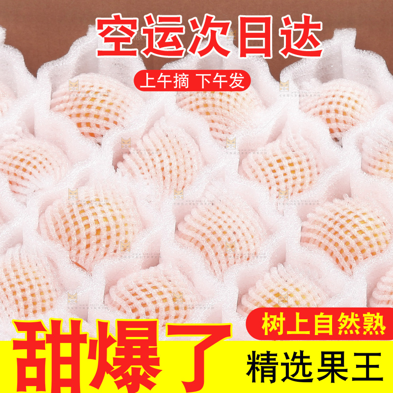 堆放着的新鲜枇杷
