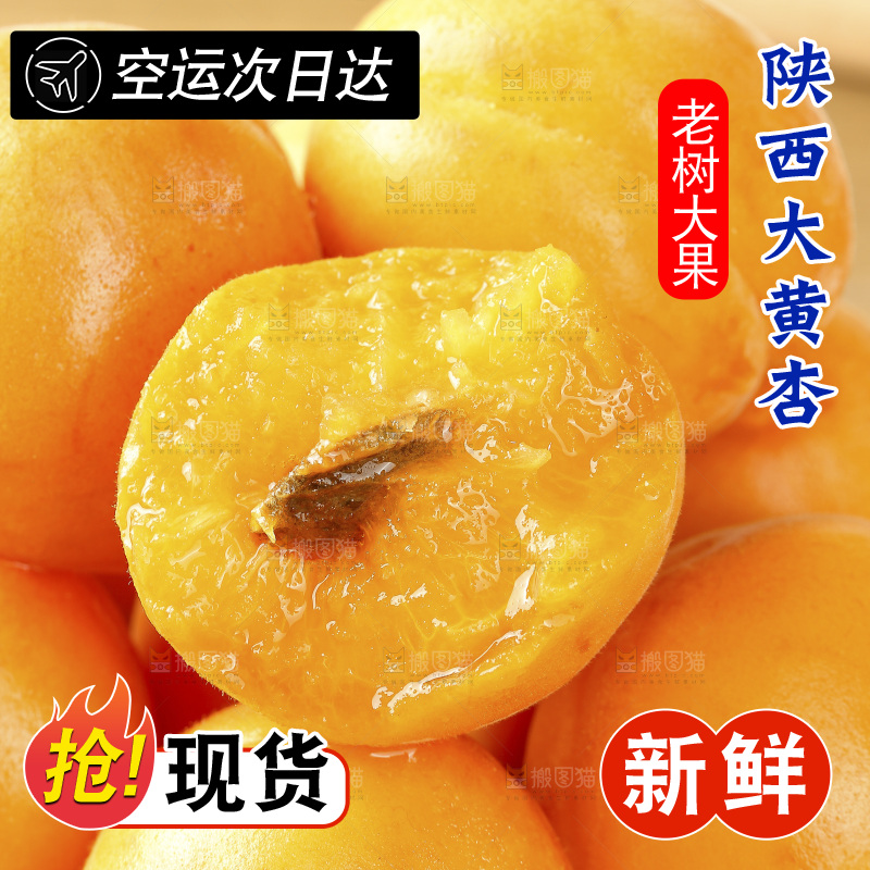 堆放着的大黄杏