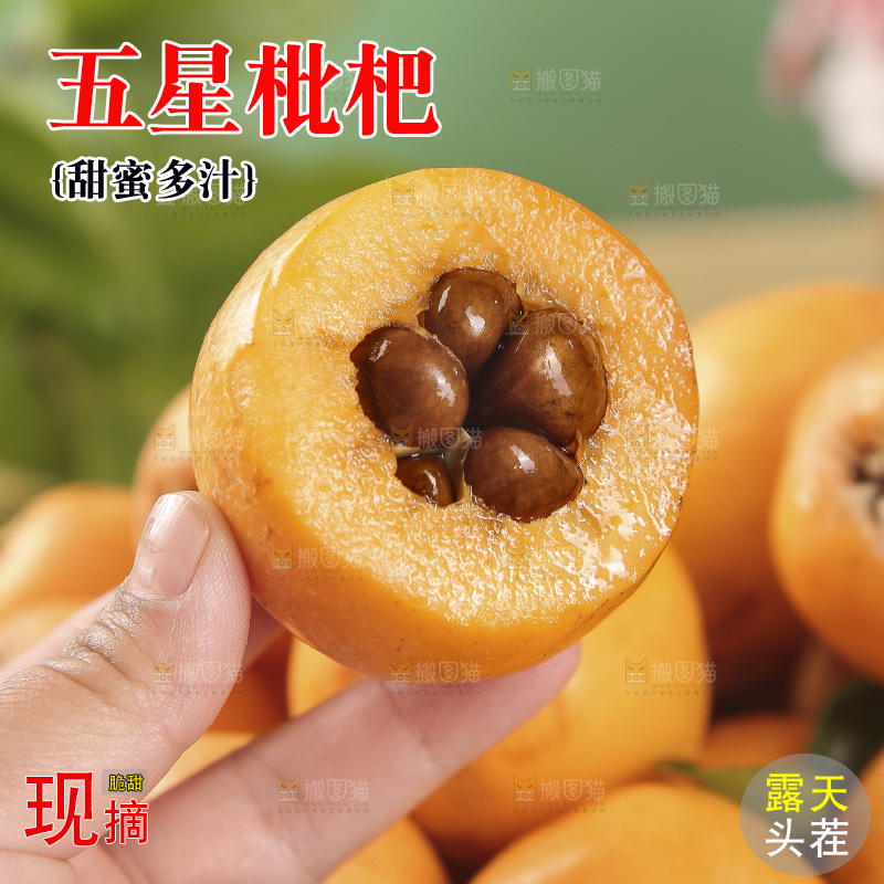 枇杷主图