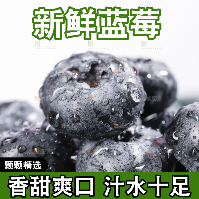 堆放着的新鲜蓝莓
